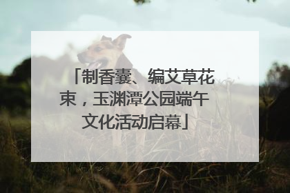 制香囊、编艾草花束，玉渊潭公园端午文化活动启幕
