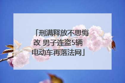 刑满释放不思悔改 男子连盗5辆电动车再落法网