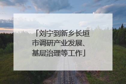 刘宁到新乡长垣市调研产业发展、基层治理等工作