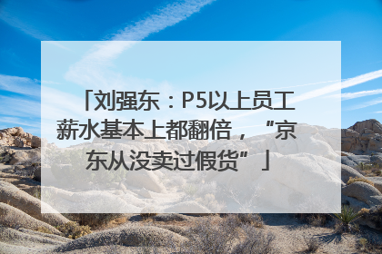 刘强东：P5以上员工薪水基本上都翻倍，“京东从没卖过假货”