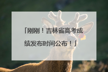 刚刚！吉林省高考成绩发布时间公布！