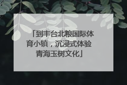 到丰台北粮国际体育小镇，沉浸式体验青海玉树文化