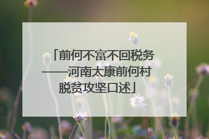 前何不富不回税务——河南太康前何村脱贫攻坚口述