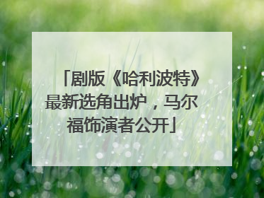 剧版《哈利波特》最新选角出炉，马尔福饰演者公开