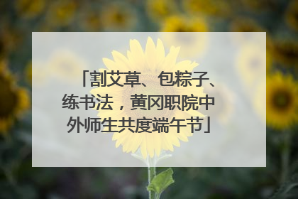 割艾草、包粽子、练书法，黄冈职院中外师生共度端午节