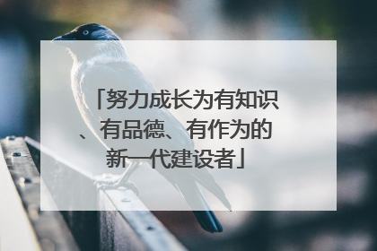 努力成长为有知识、有品德、有作为的新一代建设者