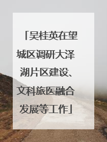 吴桂英在望城区调研大泽湖片区建设、文科旅医融合发展等工作
