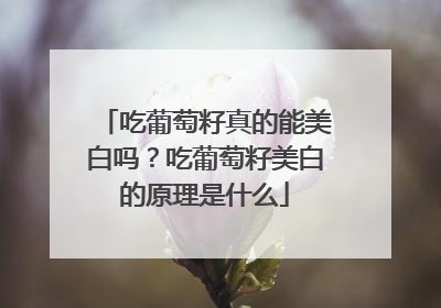 吃葡萄籽真的能美白吗？吃葡萄籽美白的原理是什么