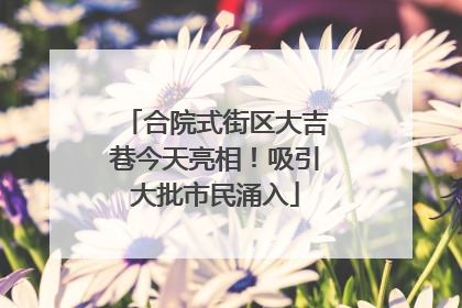 合院式街区大吉巷今天亮相！吸引大批市民涌入