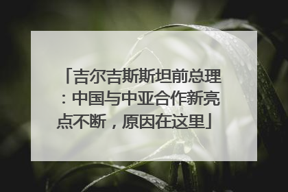 吉尔吉斯斯坦前总理：中国与中亚合作新亮点不断，原因在这里