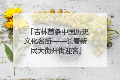 吉林首条中国历史文化名街——长春新民大街开街迎客