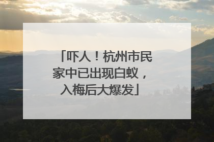 吓人！杭州市民家中已出现白蚁，入梅后大爆发