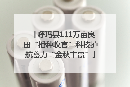 呼玛县111万亩良田“播种收官”科技护航蓄力“金秋丰景”