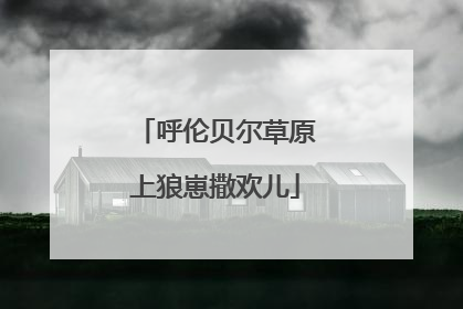 呼伦贝尔草原上狼崽撒欢儿