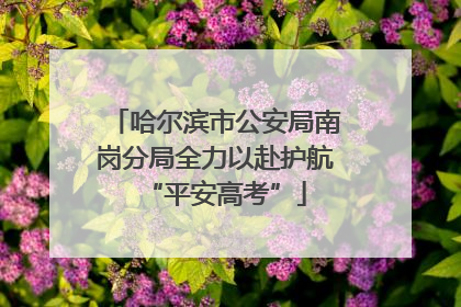 哈尔滨市公安局南岗分局全力以赴护航“平安高考”