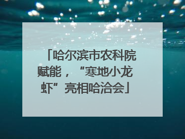 哈尔滨市农科院赋能，“寒地小龙虾”亮相哈洽会