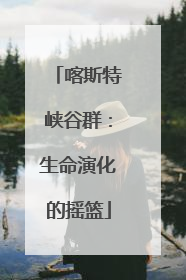 喀斯特峡谷群：生命演化的摇篮