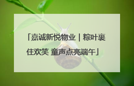 嘉诚新悦物业｜粽叶裹住欢笑 童声点亮端午