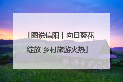 图说信阳｜向日葵花绽放 乡村旅游火热