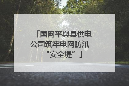 国网平舆县供电公司筑牢电网防汛“安全堤”