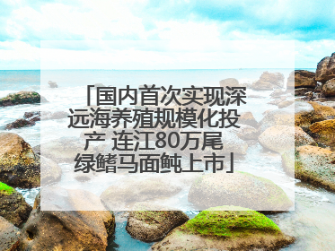 国内首次实现深远海养殖规模化投产 连江80万尾绿鳍马面鲀上市