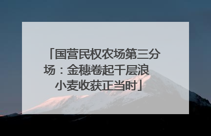 国营民权农场第三分场：金穗卷起千层浪 小麦收获正当时