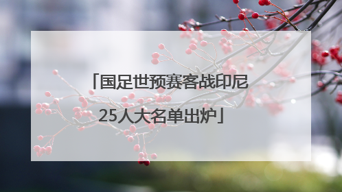 国足世预赛客战印尼25人大名单出炉
