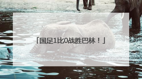 国足1比0战胜巴林！