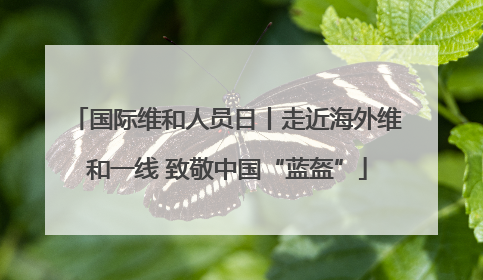 国际维和人员日丨走近海外维和一线 致敬中国“蓝盔”