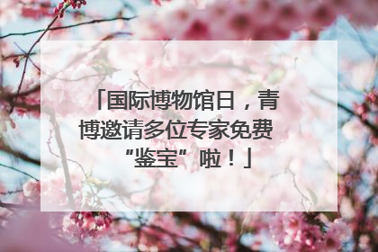 国际博物馆日，青博邀请多位专家免费“鉴宝”啦！