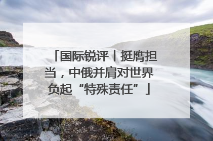 国际锐评丨挺膺担当，中俄并肩对世界负起“特殊责任”