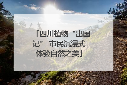 四川植物“出国记” 市民沉浸式体验自然之美