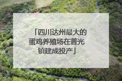 四川达州最大的蛋鸡养殖场在普光镇建成投产