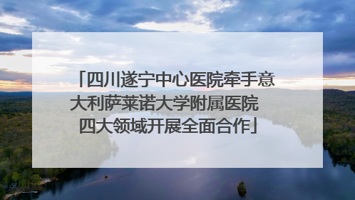 四川遂宁中心医院牵手意大利萨莱诺大学附属医院 四大领域开展全面合作