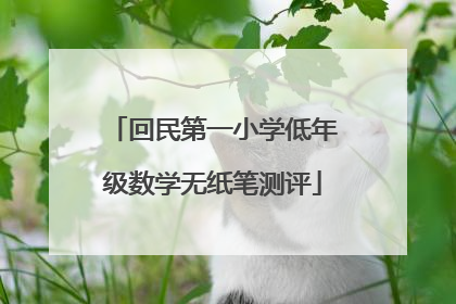 回民第一小学低年级数学无纸笔测评