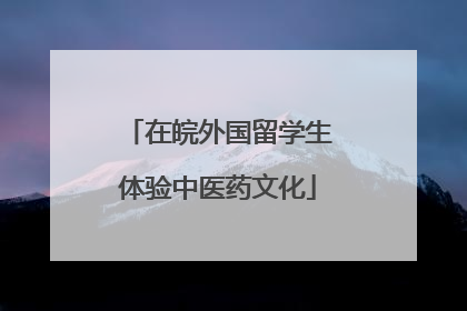 在皖外国留学生体验中医药文化