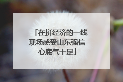 在拼经济的一线现场感受山东强信心底气十足
