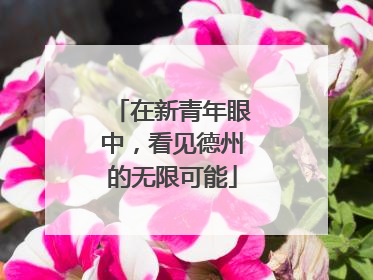 在新青年眼中，看见德州的无限可能