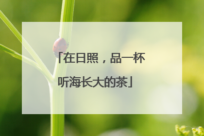 在日照，品一杯听海长大的茶