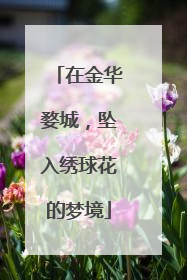 在金华婺城，坠入绣球花的梦境