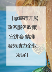 孝感市开展政务服务政策宣讲会 精准服务助力企业发展