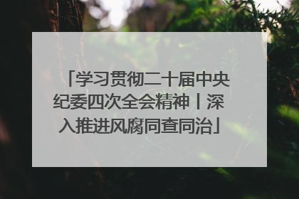 学习贯彻二十届中央纪委四次全会精神丨深入推进风腐同查同治