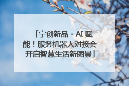 宁创新品・AI 赋能！服务机器人对接会开启智慧生活新图景