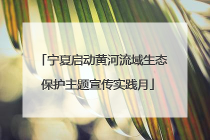 宁夏启动黄河流域生态保护主题宣传实践月