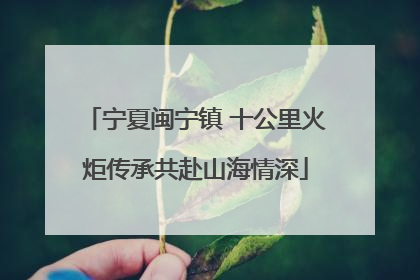 宁夏闽宁镇 十公里火炬传承共赴山海情深