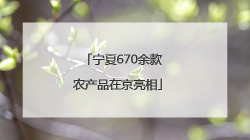 宁夏670余款农产品在京亮相