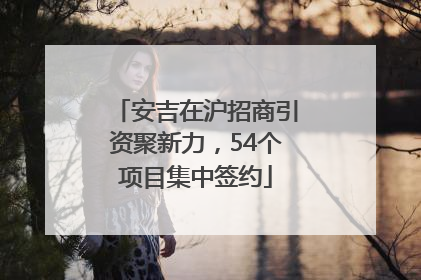 安吉在沪招商引资聚新力，54个项目集中签约