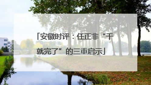 安徽时评：任正非“干就完了”的三重启示