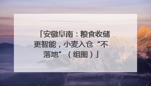 安徽阜南：粮食收储更智能，小麦入仓“不落地”（组图）