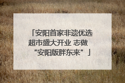 安阳首家非遗优选超市盛大开业 志做“安阳版胖东来”